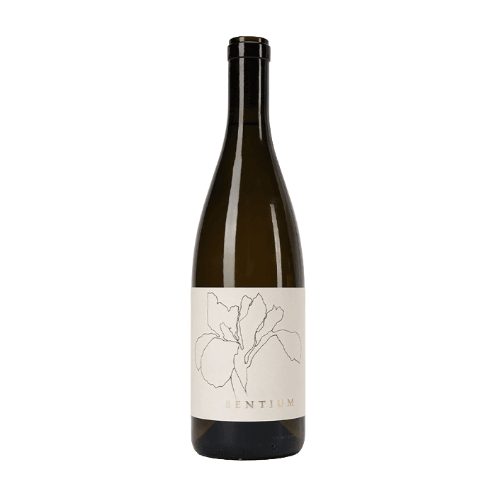 Sentium Wines Sauvignon Blanc Mendocino (2023)